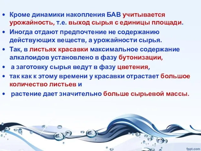 Кроме динамики накопления БАВ учитывается урожайность, т.е. выход сырья с единицы площади.