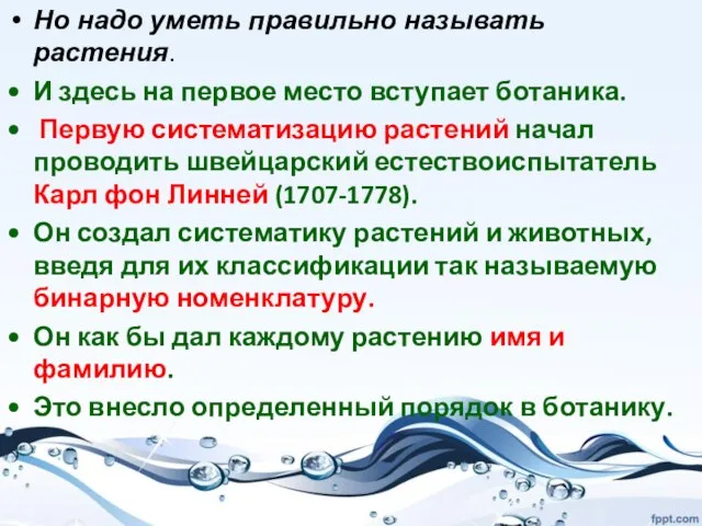 Но надо уметь правильно называть растения. И здесь на первое место вступает