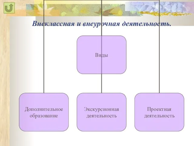 Внеклассная и внеурочная деятельность.