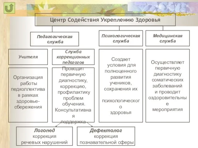 Центр Содействия Укреплению Здоровья Медицинская служба Психологическая служба Служба коррекционных педагогов Дефектолог