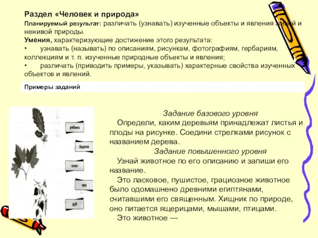 Примеры заданий Раздел «Человек и природа» Планируемый результат: различать (узнавать) изученные объекты