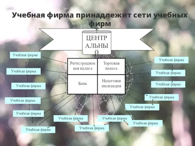 Учебная фирма принадлежит сети учебных фирм ЦЕНТРАЛЬНЫЙ ОФИС Регистрационная палата Торговая палата