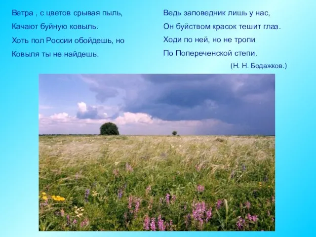 Ведь заповедник лишь у нас, Он буйством красок тешит глаз. Ходи по