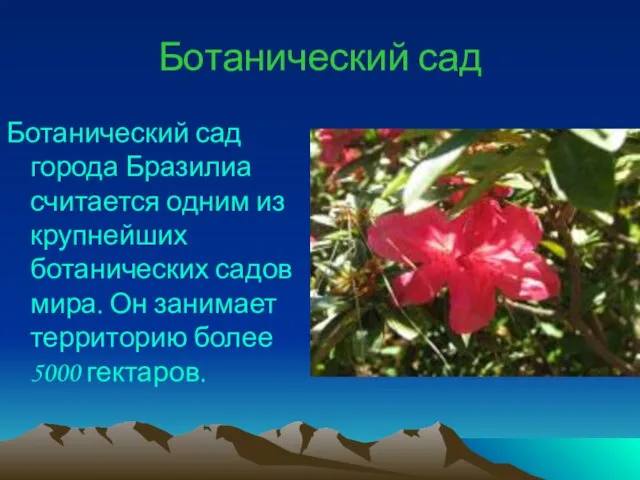 Ботанический сад Ботанический сад города Бразилиа считается одним из крупнейших ботанических садов