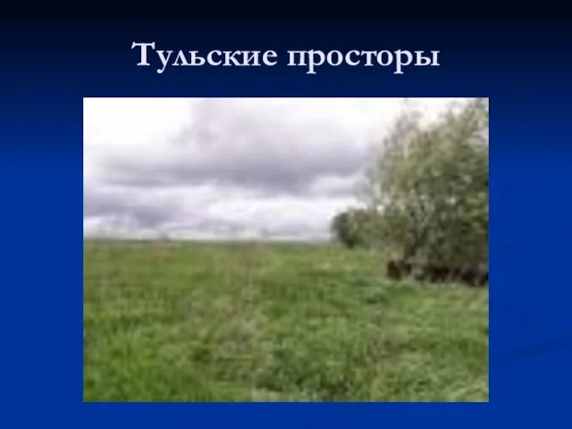 Тульские просторы