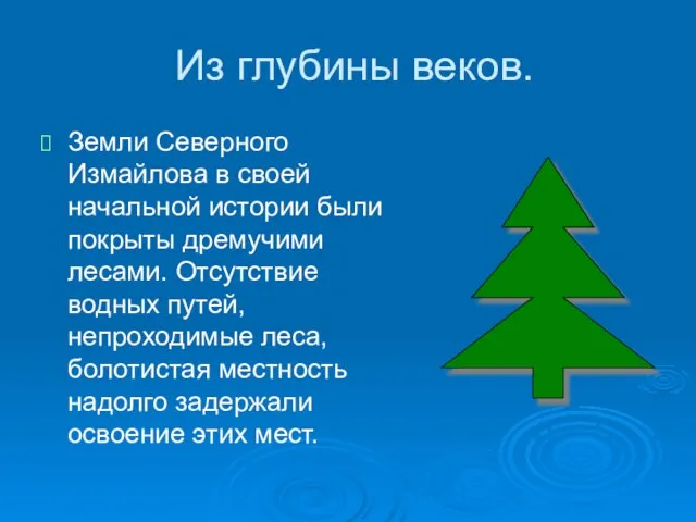 Из глубины веков. Земли Северного Измайлова в своей начальной истории были покрыты