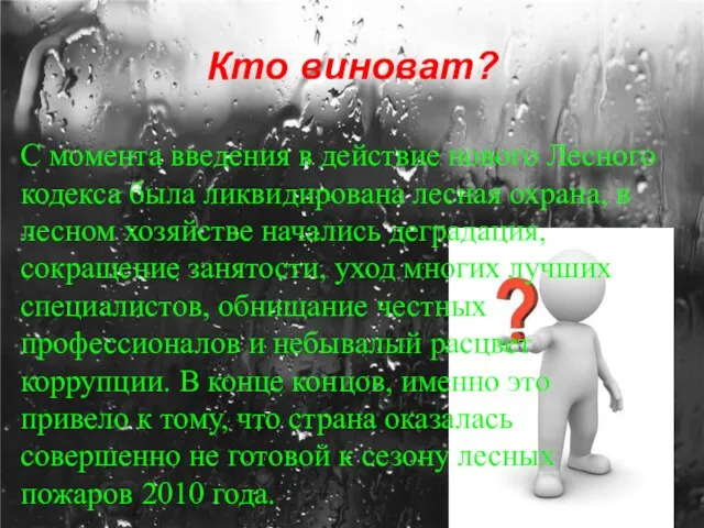 Кто виноват? С момента введения в действие нового Лесного кодекса была ликвидирована