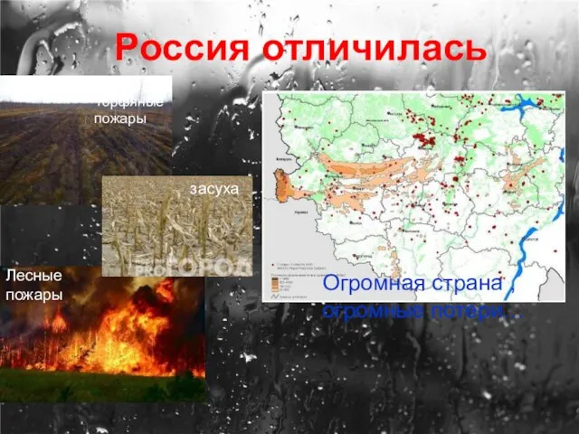 Россия отличилась Лесные пожары засуха Торфяные пожары Огромная страна , огромные потери…