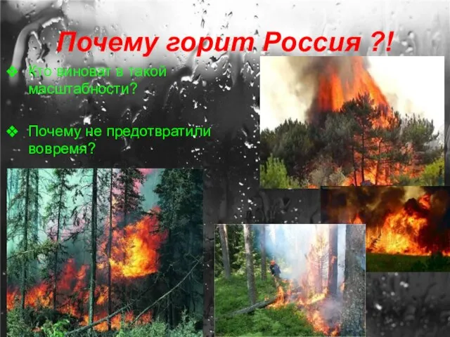 Почему горит Россия ?! Кто виноват в такой масштабности? Почему не предотвратили вовремя?