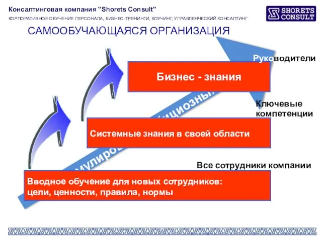 Формулировка амбициозных целей Бизнес - знания Системные знания в своей области Вводное