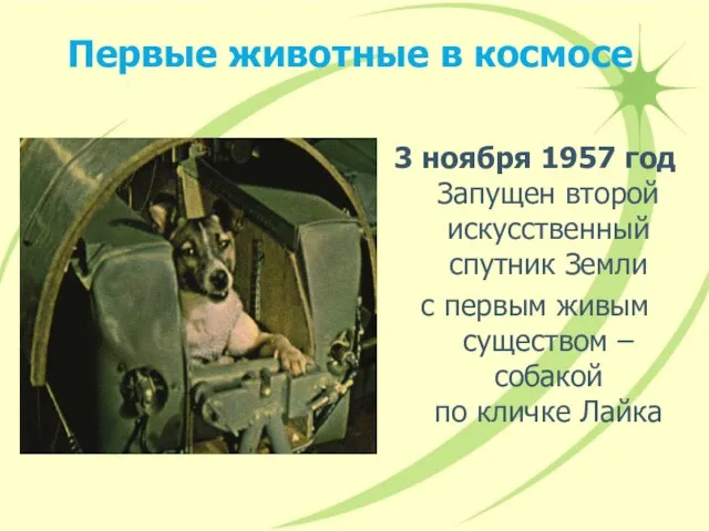 Первые животные в космосе 3 ноября 1957 год Запущен второй искусственный спутник