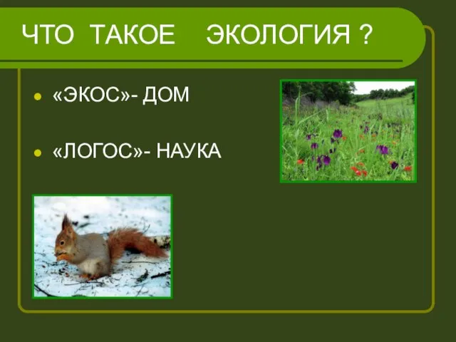 ЧТО ТАКОЕ ЭКОЛОГИЯ ? «ЭКОС»- ДОМ «ЛОГОС»- НАУКА