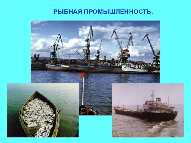 РЫБНАЯ ПРОМЫШЛЕННОСТЬ.