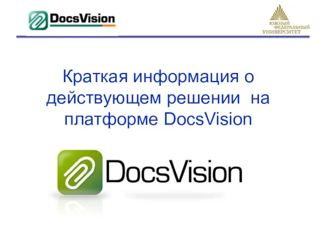 Краткая информация о действующем решении на платформе DocsVision