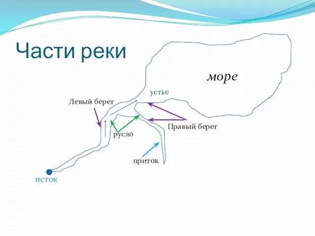 Части реки исток Левый берег Правый берег устье море русло приток