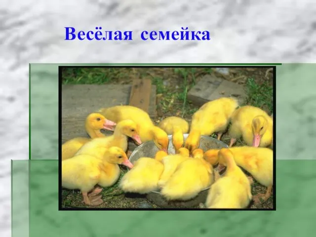 Весёлая семейка