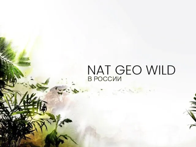 NAT GEO WILD В РОССИИ