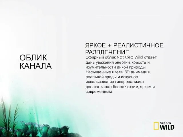 ОБЛИК КАНАЛА Эфирный облик Nat Geo Wild отдает дань уважения энергии, красоте