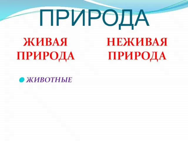 ПРИРОДА ЖИВАЯ ПРИРОДА НЕЖИВАЯ ПРИРОДА ЖИВОТНЫЕ