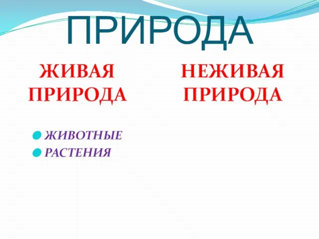 ПРИРОДА ЖИВАЯ ПРИРОДА НЕЖИВАЯ ПРИРОДА ЖИВОТНЫЕ РАСТЕНИЯ