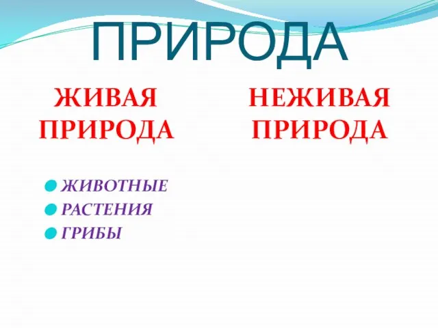 ПРИРОДА ЖИВАЯ ПРИРОДА НЕЖИВАЯ ПРИРОДА ЖИВОТНЫЕ РАСТЕНИЯ ГРИБЫ