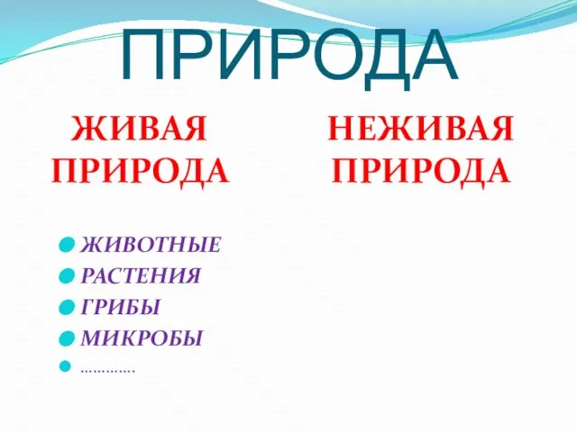 ПРИРОДА ЖИВАЯ ПРИРОДА НЕЖИВАЯ ПРИРОДА ЖИВОТНЫЕ РАСТЕНИЯ ГРИБЫ МИКРОБЫ ………….