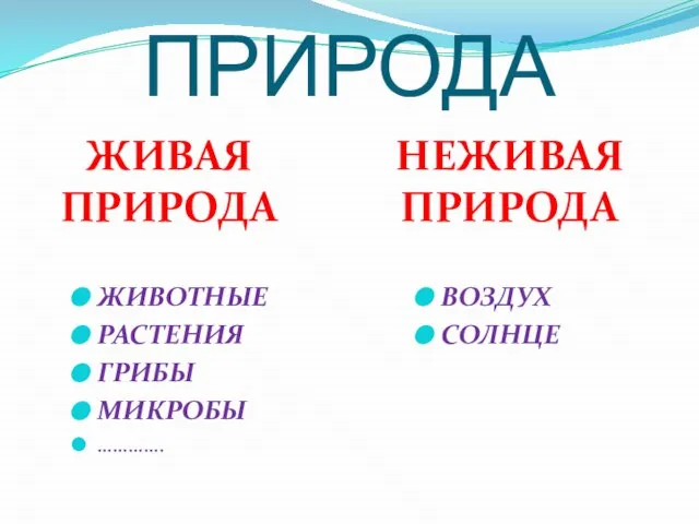 ПРИРОДА ЖИВАЯ ПРИРОДА НЕЖИВАЯ ПРИРОДА ЖИВОТНЫЕ РАСТЕНИЯ ГРИБЫ МИКРОБЫ …………. ВОЗДУХ СОЛНЦЕ