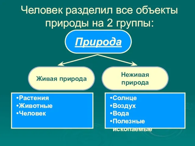 Человек разделил все объекты природы на 2 группы: Живая природа Неживая природа