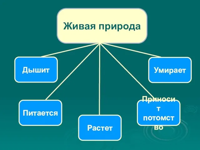 Живая природа Питается Растет Дышит Умирает Приносит потомство