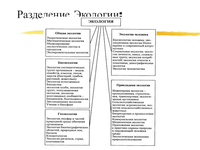 Разделение Экологии: