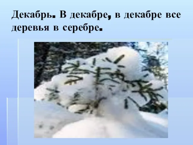 Декабрь. В декабре, в декабре все деревья в серебре.