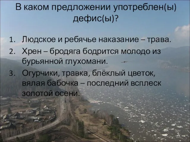 В каком предложении употреблен(ы) дефис(ы)? Людское и ребячье наказание – трава. Хрен