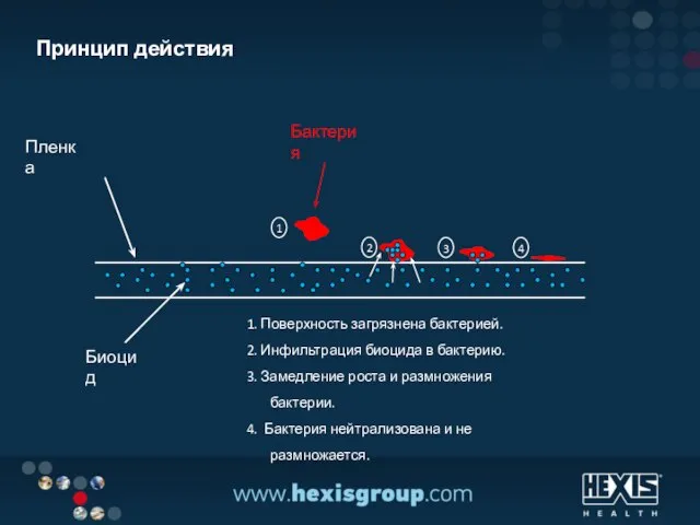 Биоцид Пленка Бактерия Принцип действия 1. Поверхность загрязнена бактерией. 2. Инфильтрация биоцида