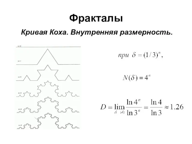 Фракталы Кривая Коха. Внутренняя размерность.