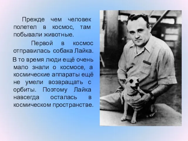 Прежде чем человек полетел в космос, там побывали животные. Первой в космос