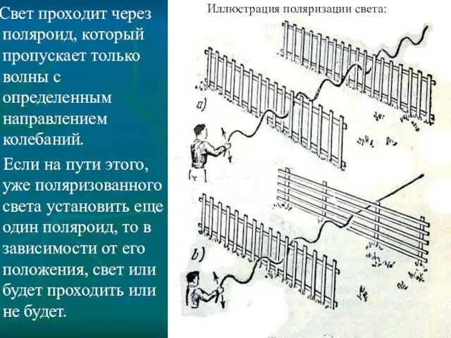 Свет проходит через поляроид, который пропускает только волны с определенным направлением колебаний.