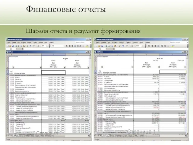 Финансовые отчеты Шаблон отчета и результат формирования