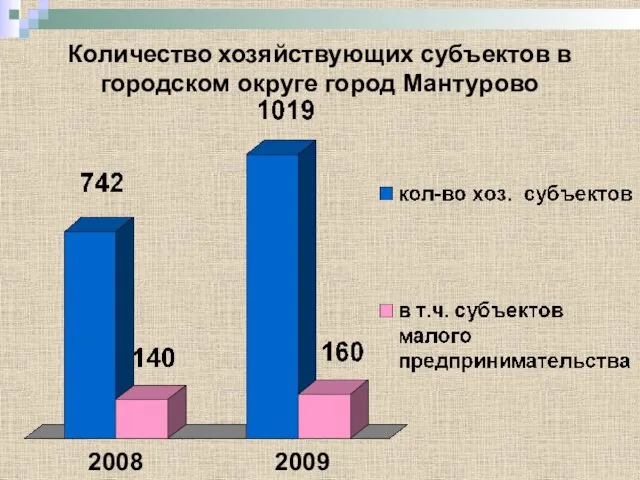 Количество хозяйствующих субъектов в городском округе город Мантурово 2008 2009