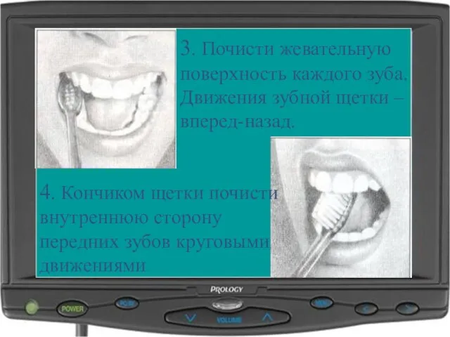 3. Почисти жевательную поверхность каждого зуба. Движения зубной щетки – вперед-назад. 4.