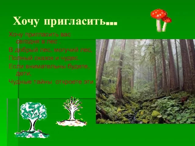 Хочу пригласить… Хочу пригласить вас сегодня в лес . В добрый лес,