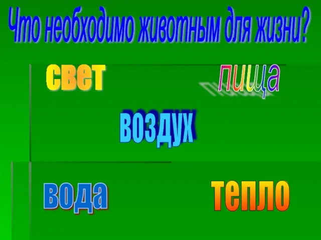 свет воздух пища вода тепло Что необходимо животным для жизни?