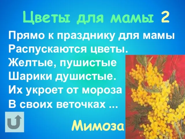 Цветы для мамы 2 Прямо к празднику для мамы Распускаются цветы. Желтые,