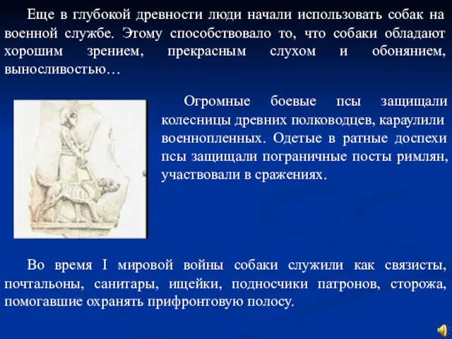 Еще в глубокой древности люди начали использовать собак на военной службе. Этому