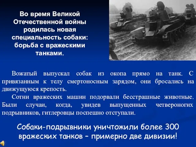 Во время Великой Отечественной войны родилась новая специальность собаки: борьба с вражескими