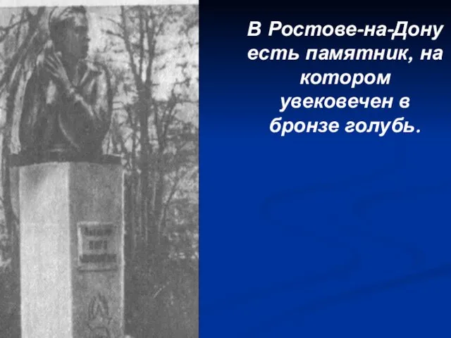 В Ростове-на-Дону есть памятник, на котором увековечен в бронзе голубь.