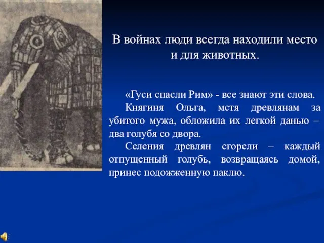 В войнах люди всегда находили место и для животных. «Гуси спасли Рим»