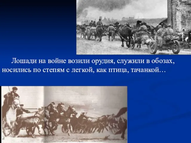 Лошади на войне возили орудия, служили в обозах, носились по степям с легкой, как птица, тачанкой…