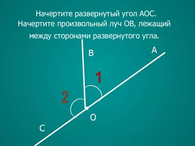 1 A B C O Начертите развернутый угол АОС. Начертите произвольный луч