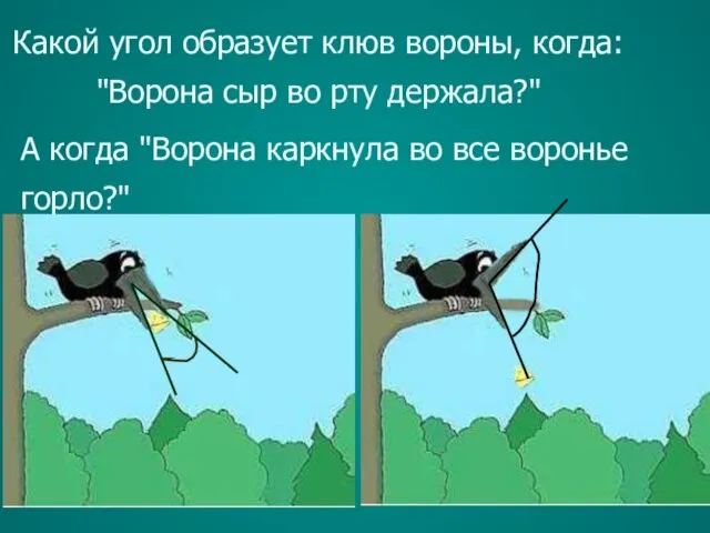 Какой угол образует клюв вороны, когда: "Ворона сыр во рту держала?" А