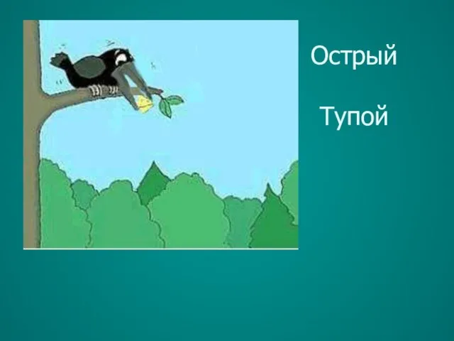 Острый Тупой